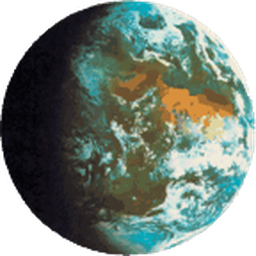 The Daily World